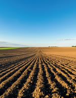 Read about The Importance of Protecting Arable Land