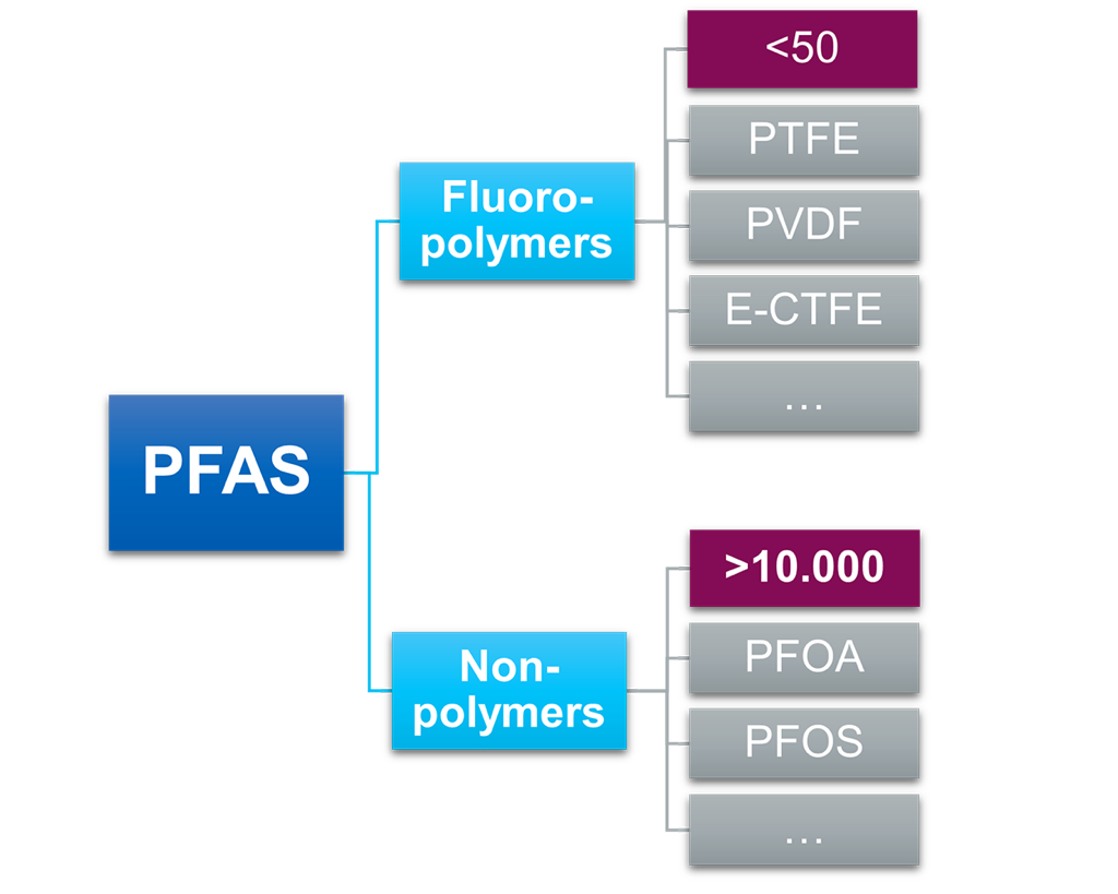 Division of non-polymer and polymer PFAS.