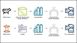 Figure 3: Renewable natural gas production schemes